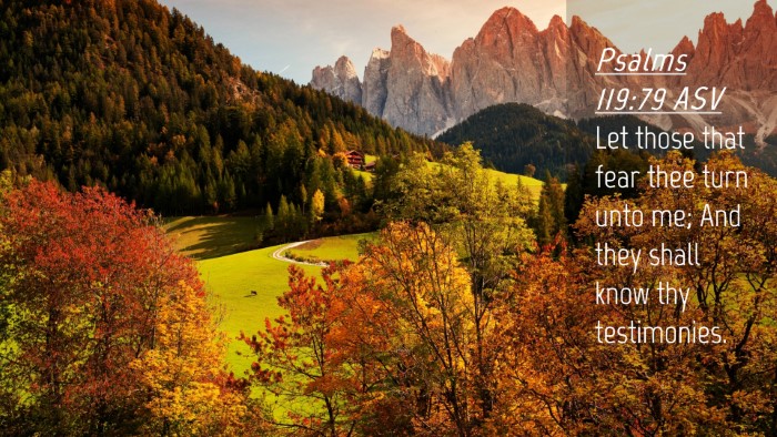 Picture 04 - Psalms 119:79 ASV Desktop Wallpaper - Let those that fear thee turn unto me; And they - Desktop Bible Verse Wallpaper