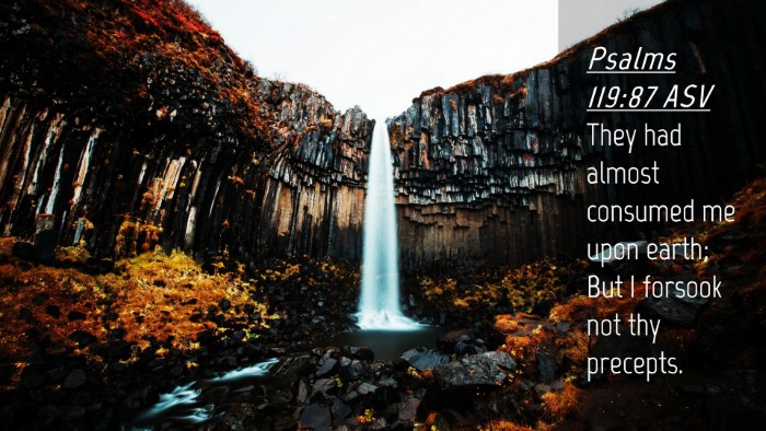 Picture 04 - Psalms 119:87 ASV Desktop Wallpaper - They had almost consumed me upon earth; But I - Desktop Bible Verse Wallpaper
