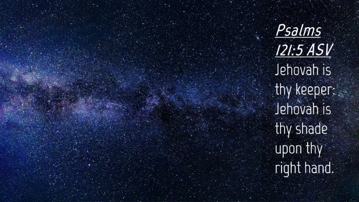 Picture 04 - Psalms 121:5 ASV Desktop Wallpaper - Jehovah is thy keeper: Jehovah is thy shade upon - Desktop Bible Verse Wallpaper