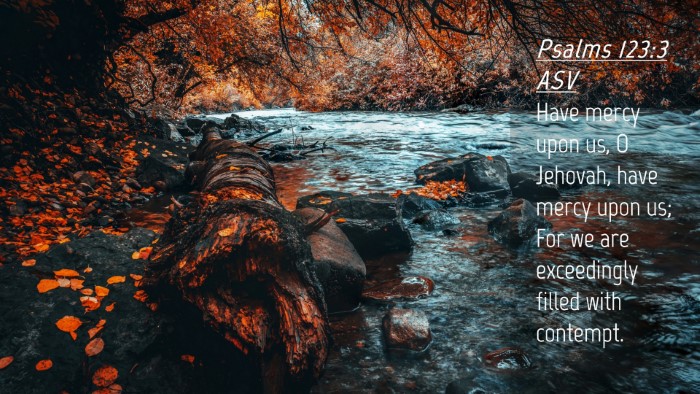 Picture 04 - Psalms 123:3 ASV Desktop Wallpaper - Have mercy upon us, O Jehovah, have mercy upon - Desktop Bible Verse Wallpaper