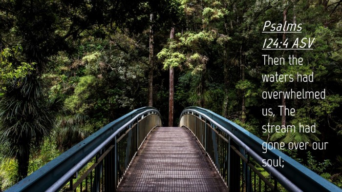 Picture 04 - Psalms 124:4 ASV Desktop Wallpaper - Then the waters had overwhelmed us, The stream - Desktop Bible Verse Wallpaper