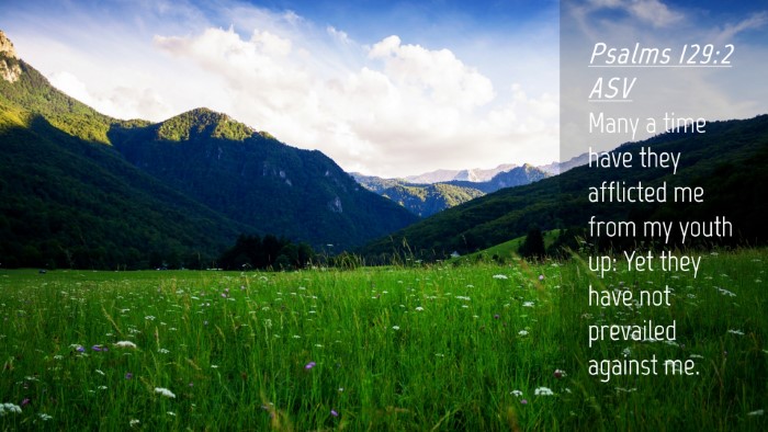 Picture 04 - Psalms 129:2 ASV Desktop Wallpaper - Many a time have they afflicted me from my youth - Desktop Bible Verse Wallpaper
