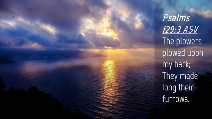 Picture 04 - Psalms 129:3 ASV Desktop Wallpaper - The plowers plowed upon my back; They made long - Desktop Bible Verse Wallpaper