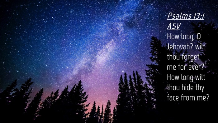 Picture 04 - Psalms 13:1 ASV Desktop Wallpaper - How long, O Jehovah? wilt thou forget me for - Desktop Bible Verse Wallpaper