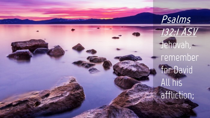 Picture 04 - Psalms 132:1 ASV Desktop Wallpaper - Jehovah, remember for David All his - Desktop Bible Verse Wallpaper