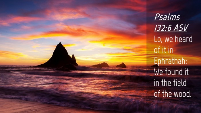 Picture 04 - Psalms 132:6 ASV Desktop Wallpaper - Lo, we heard of it in Ephrathah: We found it in - Desktop Bible Verse Wallpaper