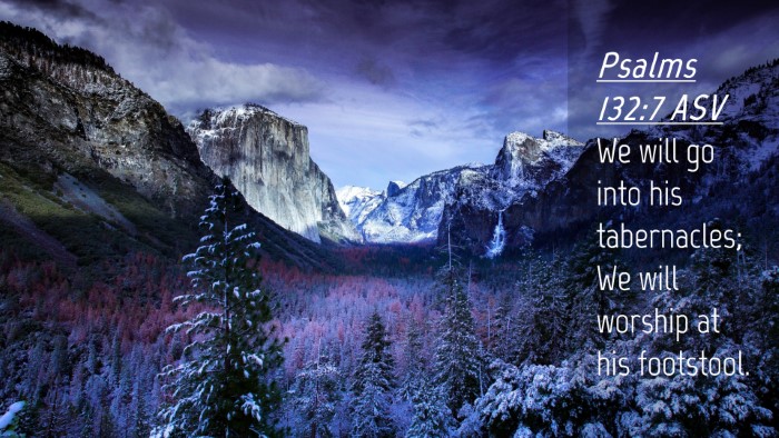 Picture 04 - Psalms 132:7 ASV Desktop Wallpaper - We will go into his tabernacles; We will worship - Desktop Bible Verse Wallpaper