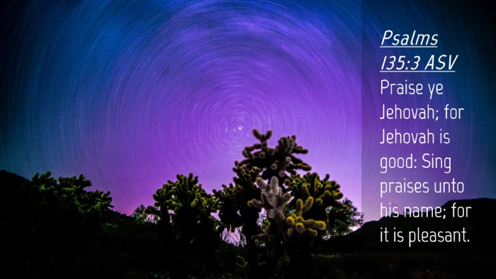 Picture 04 - Psalms 135:3 ASV Desktop Wallpaper - Praise ye Jehovah; for Jehovah is good: Sing - Desktop Bible Verse Wallpaper