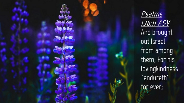 Picture 04 - Psalms 136:11 ASV Desktop Wallpaper - And brought out Israel from among them; For his - Desktop Bible Verse Wallpaper