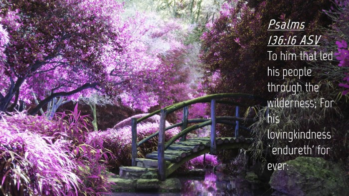 Picture 04 - Psalms 136:16 ASV Desktop Wallpaper - To him that led his people through the - Desktop Bible Verse Wallpaper