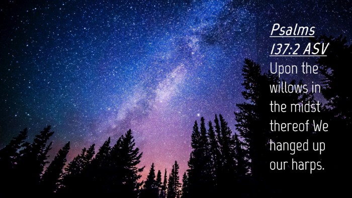 Picture 04 - Psalms 137:2 ASV Desktop Wallpaper - Upon the willows in the midst thereof We hanged - Desktop Bible Verse Wallpaper