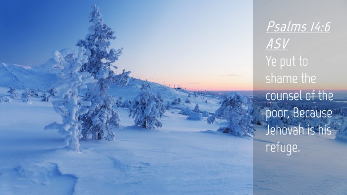 Picture 04 - Psalms 14:6 ASV Desktop Wallpaper - Ye put to shame the counsel of the poor, Because - Desktop Bible Verse Wallpaper