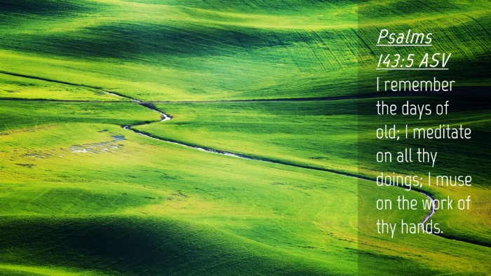 Picture 04 - Psalms 143:5 ASV Desktop Wallpaper - I remember the days of old; I meditate on all thy - Desktop Bible Verse Wallpaper