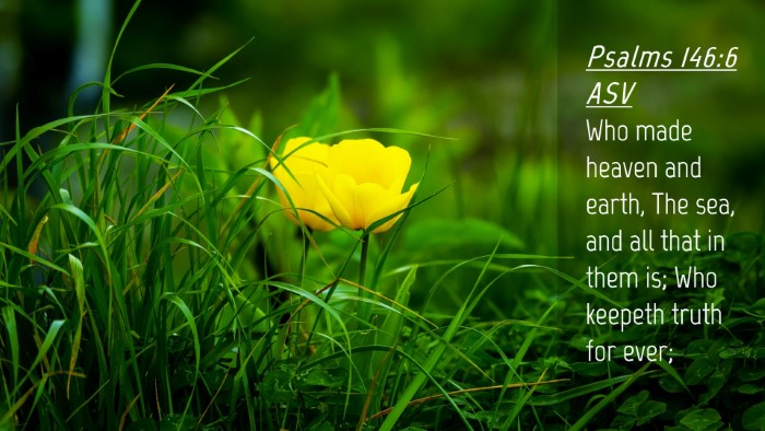 Picture 04 - Psalms 146:6 ASV Desktop Wallpaper - Who made heaven and earth, The sea, and all that - Desktop Bible Verse Wallpaper