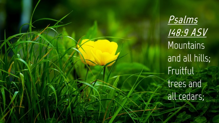 Picture 04 - Psalms 148:9 ASV Desktop Wallpaper - Mountains and all hills; Fruitful trees and all - Desktop Bible Verse Wallpaper