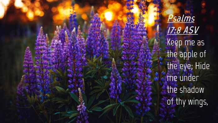 Picture 04 - Psalms 17:8 ASV Desktop Wallpaper - Keep me as the apple of the eye; Hide me under - Desktop Bible Verse Wallpaper