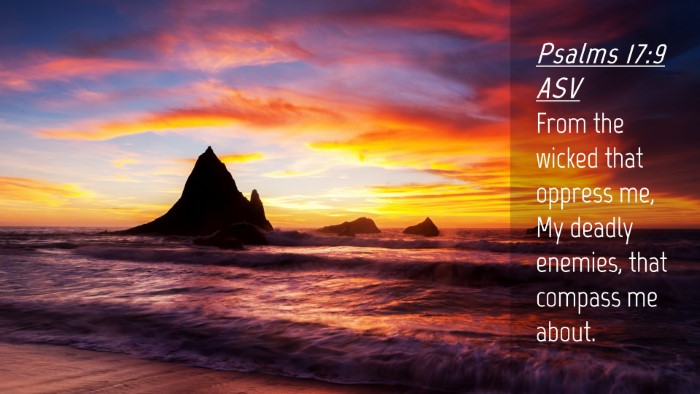 Picture 04 - Psalms 17:9 ASV Desktop Wallpaper - From the wicked that oppress me, My deadly - Desktop Bible Verse Wallpaper