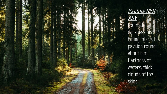 Picture 04 - Psalms 18:11 ASV Desktop Wallpaper - He made darkness his hiding-place, his pavilion - Desktop Bible Verse Wallpaper