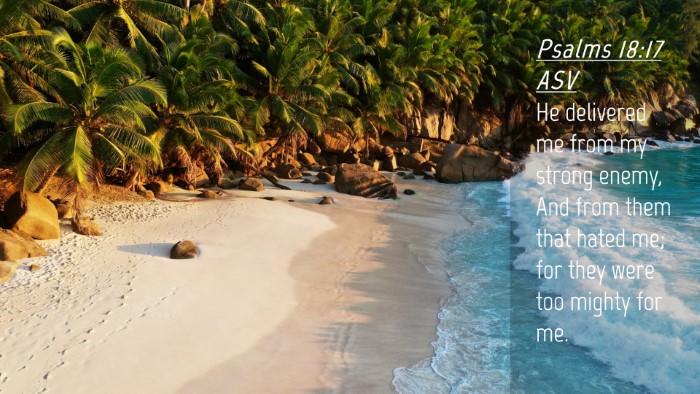 Picture 04 - Psalms 18:17 ASV Desktop Wallpaper - He delivered me from my strong enemy, And from - Desktop Bible Verse Wallpaper