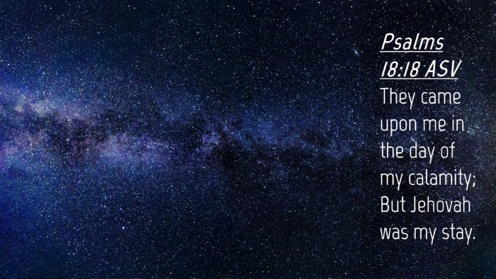 Picture 04 - Psalms 18:18 ASV Desktop Wallpaper - They came upon me in the day of my calamity; But - Desktop Bible Verse Wallpaper