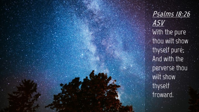 Picture 04 - Psalms 18:26 ASV Desktop Wallpaper - With the pure thou wilt show thyself pure; And - Desktop Bible Verse Wallpaper