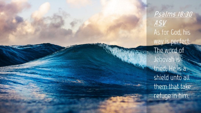 Picture 04 - Psalms 18:30 ASV Desktop Wallpaper - As for God, his way is perfect: The word of - Desktop Bible Verse Wallpaper
