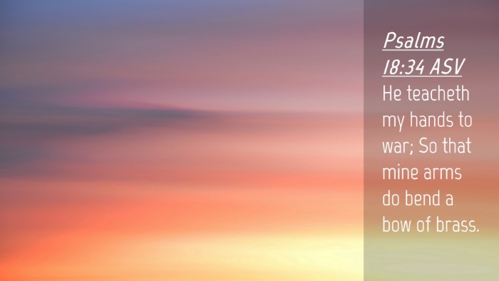 Picture 04 - Psalms 18:34 ASV Desktop Wallpaper - He teacheth my hands to war; So that mine arms do - Desktop Bible Verse Wallpaper