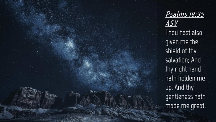 Picture 04 - Psalms 18:35 ASV Desktop Wallpaper - Thou hast also given me the shield of thy - Desktop Bible Verse Wallpaper