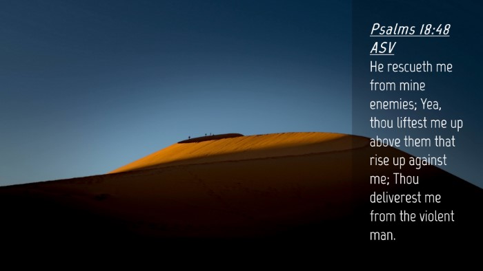 Picture 04 - Psalms 18:48 ASV Desktop Wallpaper - He rescueth me from mine enemies; Yea, thou - Desktop Bible Verse Wallpaper