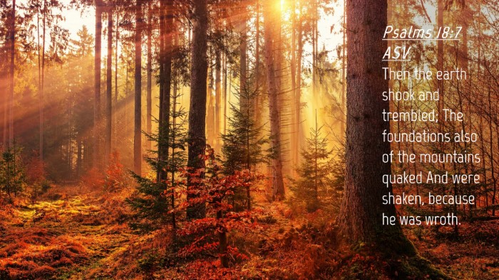 Picture 04 - Psalms 18:7 ASV Desktop Wallpaper - Then the earth shook and trembled; The - Desktop Bible Verse Wallpaper