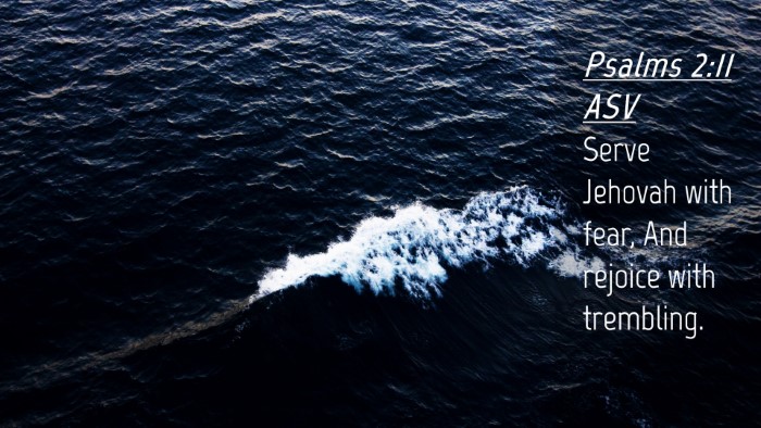 Picture 04 - Psalms 2:11 ASV Desktop Wallpaper - Serve Jehovah with fear, And rejoice with - Desktop Bible Verse Wallpaper