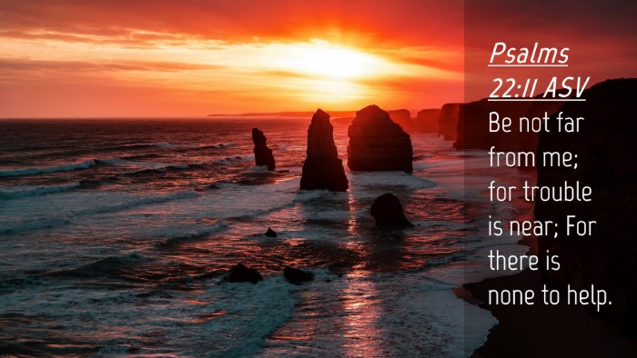 Picture 04 - Psalms 22:11 ASV Desktop Wallpaper - Be not far from me; for trouble is near; For - Desktop Bible Verse Wallpaper