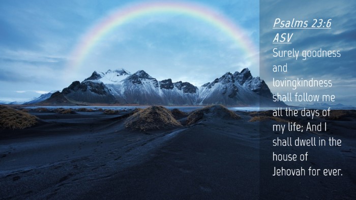 Picture 04 - Psalms 23:6 ASV Desktop Wallpaper - Surely goodness and lovingkindness shall follow - Desktop Bible Verse Wallpaper