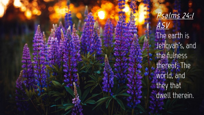 Picture 04 - Psalms 24:1 ASV Desktop Wallpaper - The earth is Jehovah's, and the fulness thereof; - Desktop Bible Verse Wallpaper