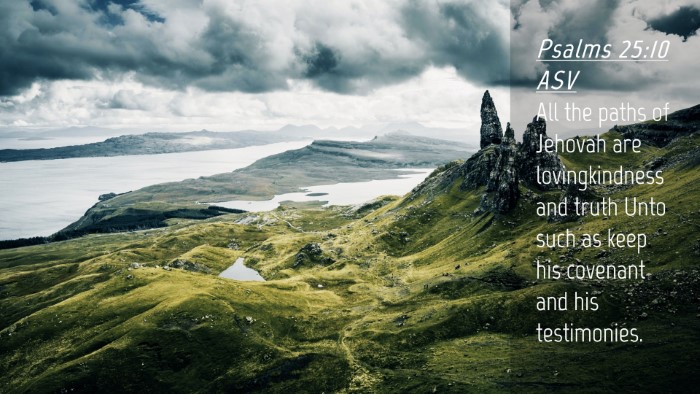 Picture 04 - Psalms 25:10 ASV Desktop Wallpaper - All the paths of Jehovah are lovingkindness and - Desktop Bible Verse Wallpaper
