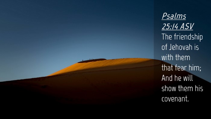 Picture 04 - Psalms 25:14 ASV Desktop Wallpaper - The friendship of Jehovah is with them that fear - Desktop Bible Verse Wallpaper