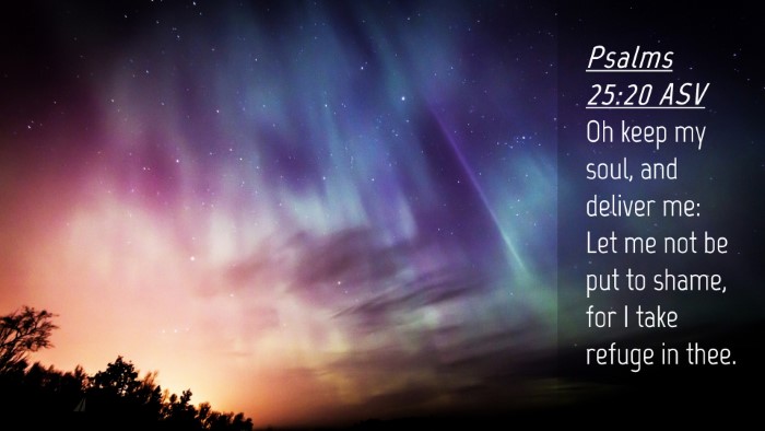 Picture 04 - Psalms 25:20 ASV Desktop Wallpaper - Oh keep my soul, and deliver me: Let me not be - Desktop Bible Verse Wallpaper