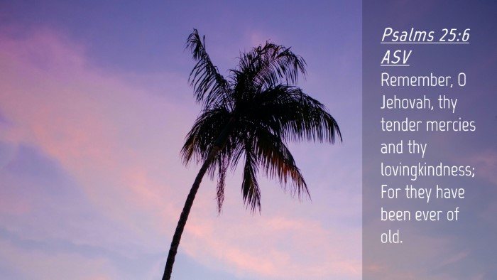 Picture 04 - Psalms 25:6 ASV Desktop Wallpaper - Remember, O Jehovah, thy tender mercies and thy - Desktop Bible Verse Wallpaper