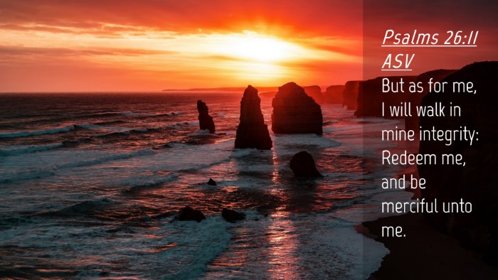 Picture 04 - Psalms 26:11 ASV Desktop Wallpaper - But as for me, I will walk in mine integrity: - Desktop Bible Verse Wallpaper