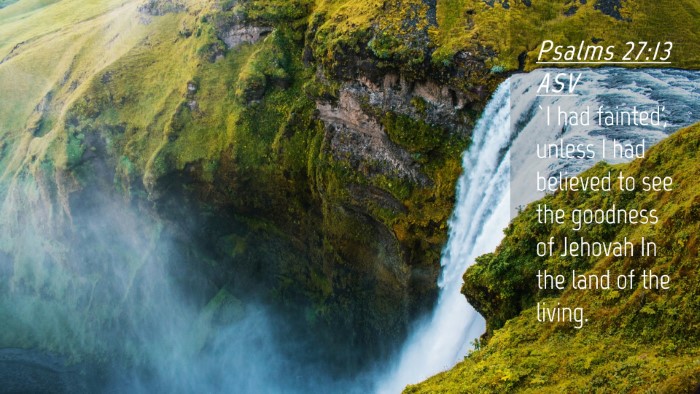 Picture 04 - Psalms 27:13 ASV Desktop Wallpaper - `I had fainted', unless I had believed to see the - Desktop Bible Verse Wallpaper