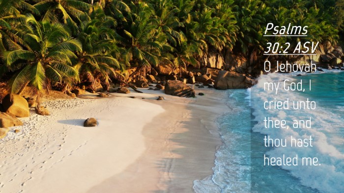 Picture 04 - Psalms 30:2 ASV Desktop Wallpaper - O Jehovah my God, I cried unto thee, and thou - Desktop Bible Verse Wallpaper