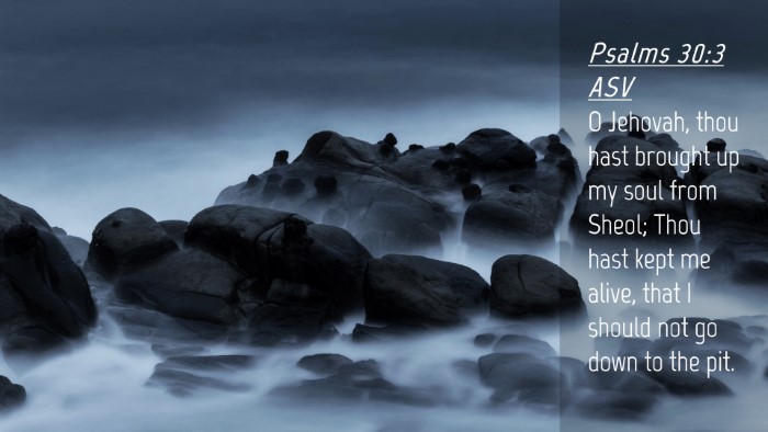 Picture 04 - Psalms 30:3 ASV Desktop Wallpaper - O Jehovah, thou hast brought up my soul from - Desktop Bible Verse Wallpaper