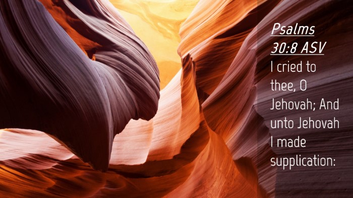 Picture 04 - Psalms 30:8 ASV Desktop Wallpaper - I cried to thee, O Jehovah; And unto Jehovah I - Desktop Bible Verse Wallpaper