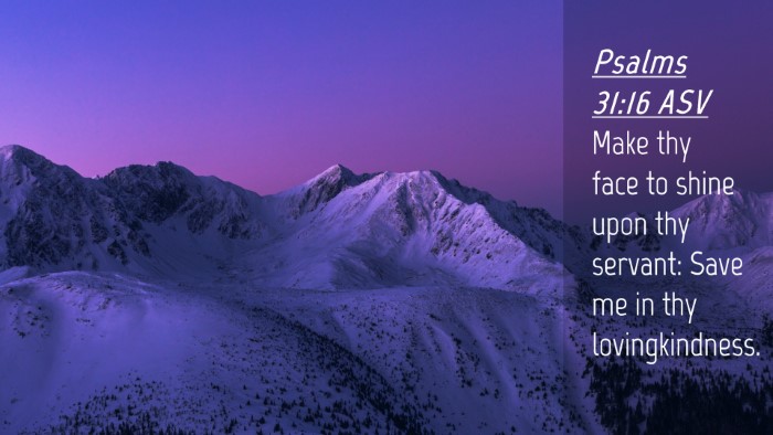 Picture 04 - Psalms 31:16 ASV Desktop Wallpaper - Make thy face to shine upon thy servant: Save me - Desktop Bible Verse Wallpaper