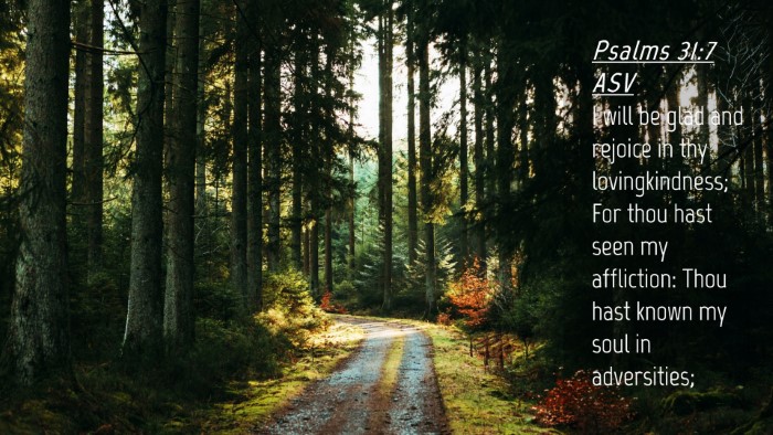 Picture 04 - Psalms 31:7 ASV Desktop Wallpaper - I will be glad and rejoice in thy lovingkindness; - Desktop Bible Verse Wallpaper