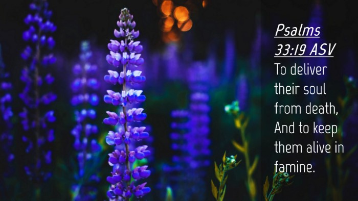 Picture 04 - Psalms 33:19 ASV Desktop Wallpaper - To deliver their soul from death, And to keep - Desktop Bible Verse Wallpaper