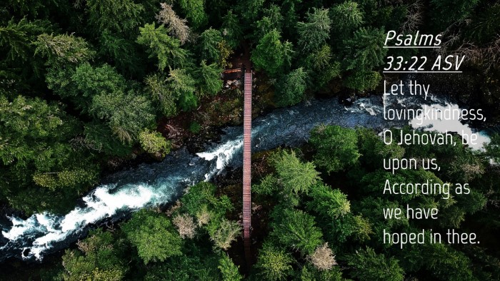 Picture 04 - Psalms 33:22 ASV Desktop Wallpaper - Let thy lovingkindness, O Jehovah, be upon us, - Desktop Bible Verse Wallpaper