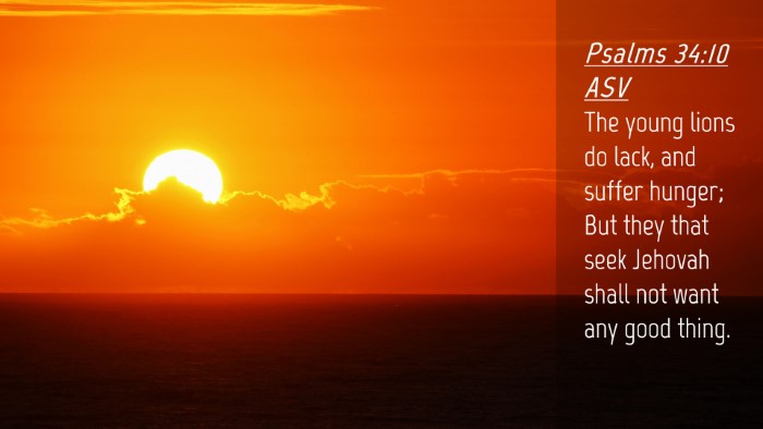 Picture 04 - Psalms 34:10 ASV Desktop Wallpaper - The young lions do lack, and suffer hunger; But - Desktop Bible Verse Wallpaper