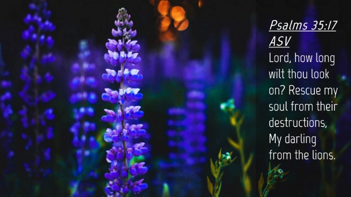 Picture 04 - Psalms 35:17 ASV Desktop Wallpaper - Lord, how long wilt thou look on? Rescue my soul - Desktop Bible Verse Wallpaper