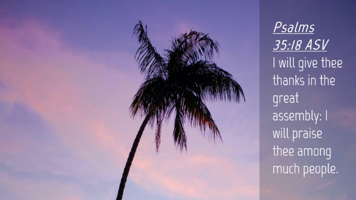 Picture 04 - Psalms 35:18 ASV Desktop Wallpaper - I will give thee thanks in the great assembly: I - Desktop Bible Verse Wallpaper